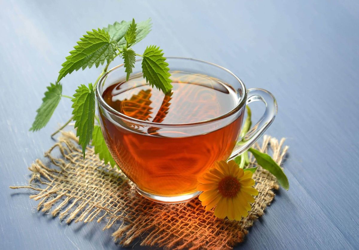 Spearmint Tea for PCOS: Unveiling the Benefits and  Potential Drawbacks